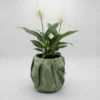 Crumbled Indoor Plant Pot | Unique & Aesthetic Home Decor