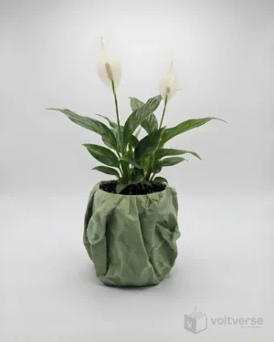 Crumbled Indoor Plant Pot | Unique & Aesthetic Home Decor