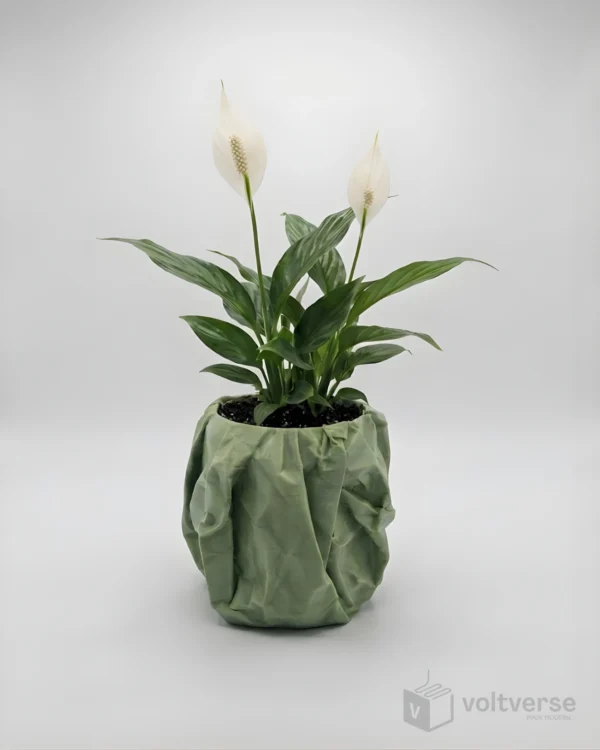 Crumbled Indoor Plant Pot | Unique & Aesthetic Home Decor