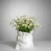 Sack Style Indoor Plant Pot | Minimal & Aesthetic Home Decor