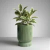 Ribbed Plant Pot | Minimal & Aesthetic Home Decor
