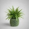 Weave Indoor Plant Pot | Minimal & Aesthetic Home Decor